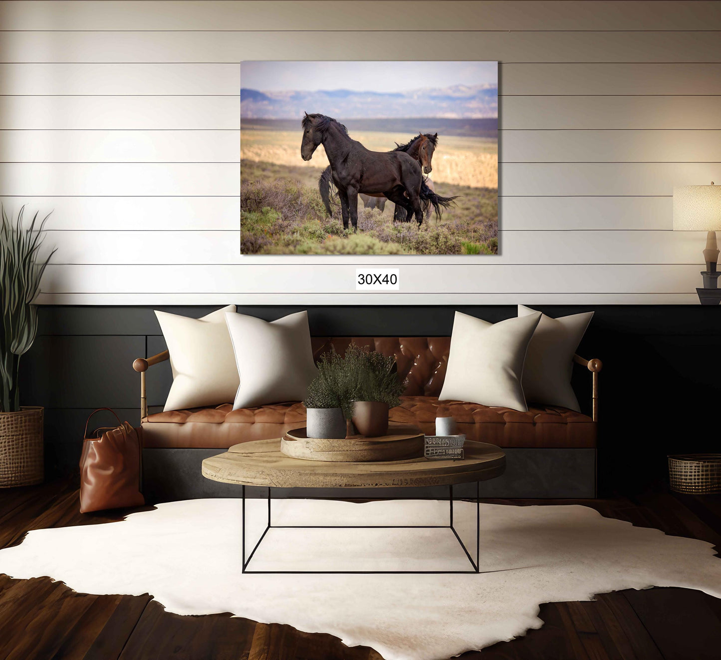 Wild Black Mustang Stallion Standing Photo, Wild Horses in Colorado Wall Art Print, Wildlife Canvas, Cowboy Old West Home or Office Decor