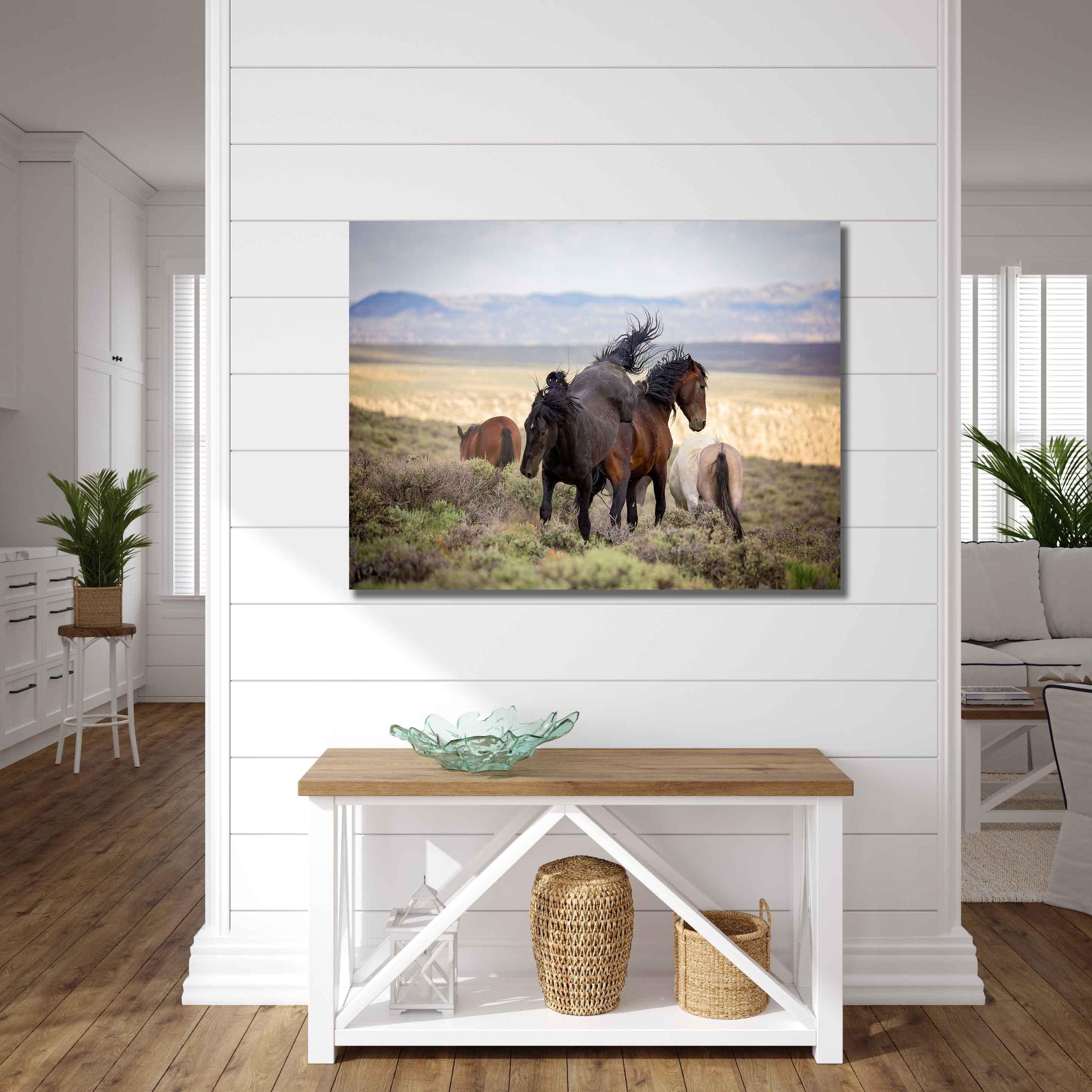 Black Stallion Fighting Photo Print, Wild Horses Mustang in Colorado Wall Art, Wildlife Canvas, Cowboy Old West Style, Rustic Decor