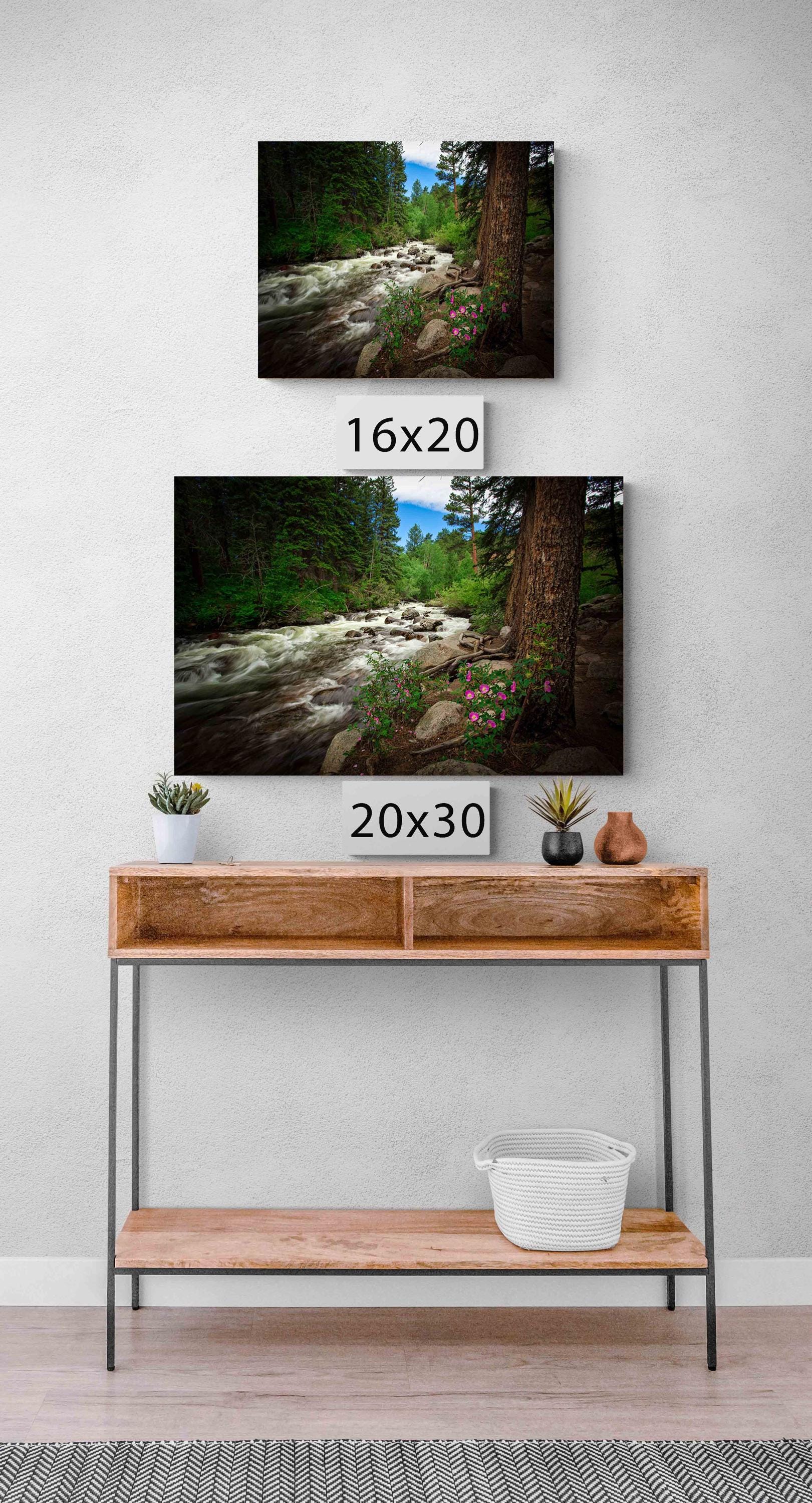 Rocky Mountain National Park Mountain Stream Print, Tuxedo Creek Wild Roses, Forest Scene Print, Colorado Landscape Photography Wall Art