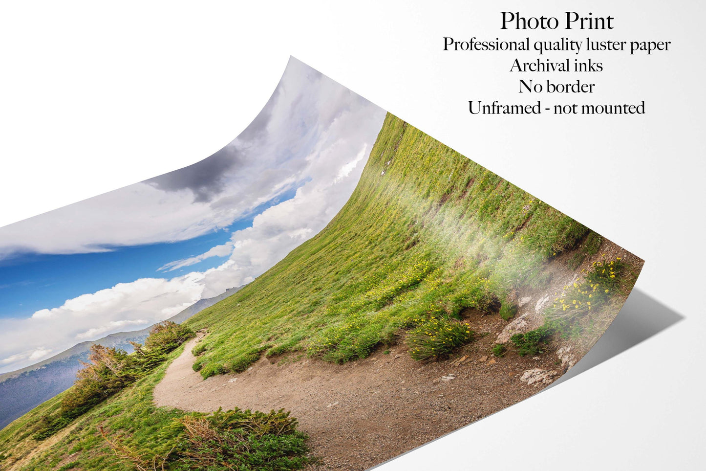 Hiking Trail on Mountain Tundra Photo Print, Rocky Mountain National Park Canvas, Trail Ridge Road, Colorado Landscape Photography Wall Art