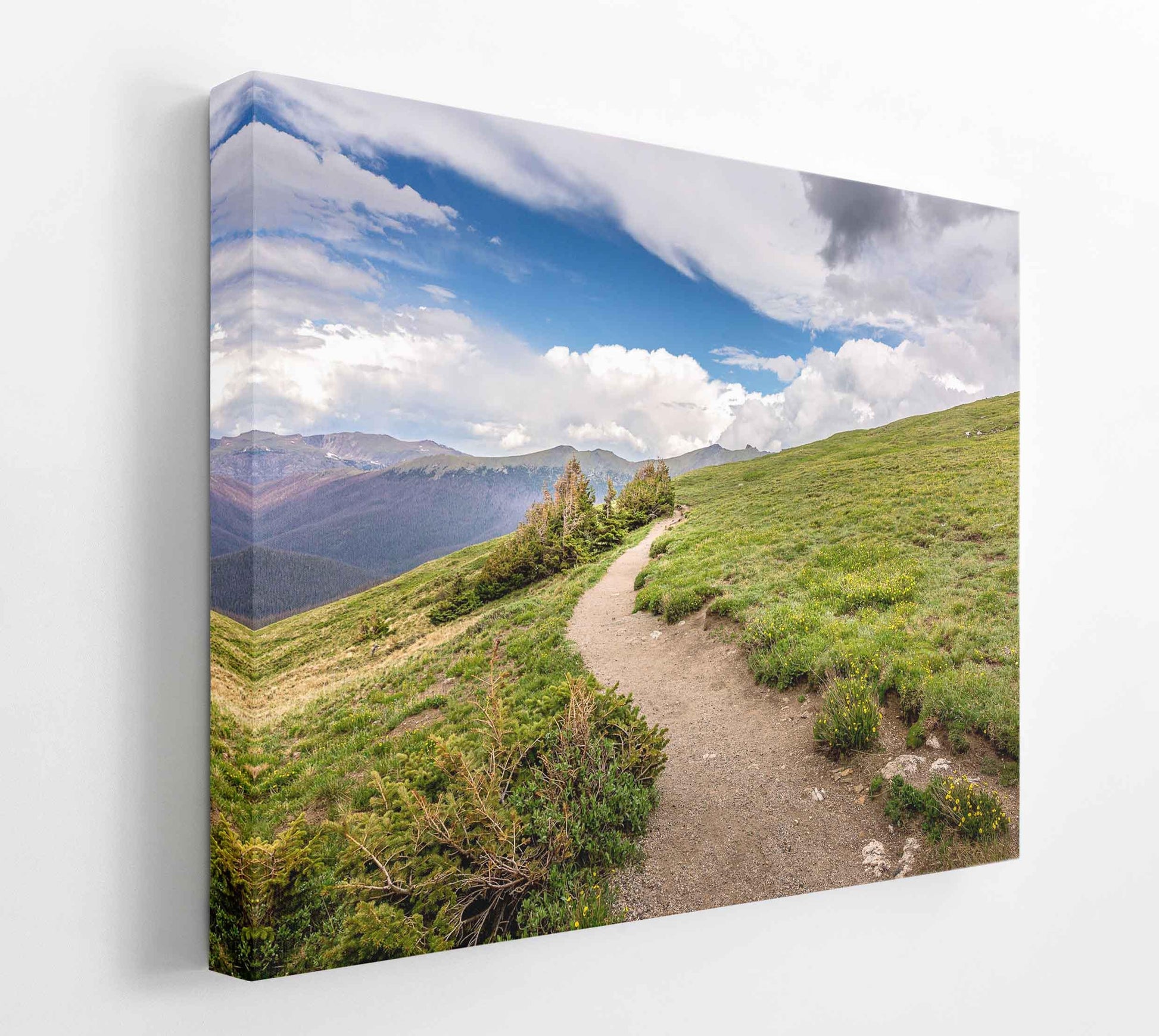 Canvas print of hiking trail on the tundra at 10,000 feet up. Mountain Trail going into the clouds on Trail Ridge Road in Rocky Mountain National Park, Colorado. Mockup of the canvas at an angle.