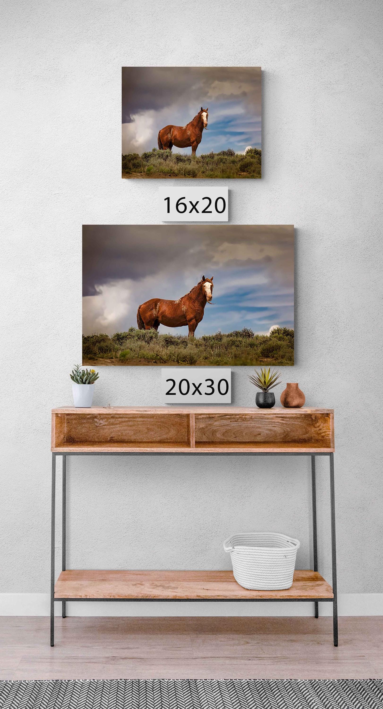 Colorado Wild Chestnut Stallion Print, Wild Horse Wall Art, Blaze Face Mustang Photo, Wildlife Canvas, Cowboy Old West Decor