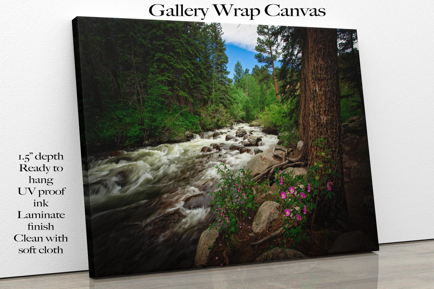 Rocky Mountain National Park Mountain Stream Print, Tuxedo Creek Wild Roses, Forest Scene Print, Colorado Landscape Photography Wall Art