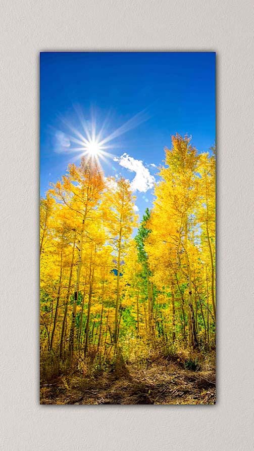 Vertical Canvas Print of Colorado Golden Aspens, Autumn Aspens Nature Photo, Rocky Mountain Landscape, Large Wall Art, Colorado Photography