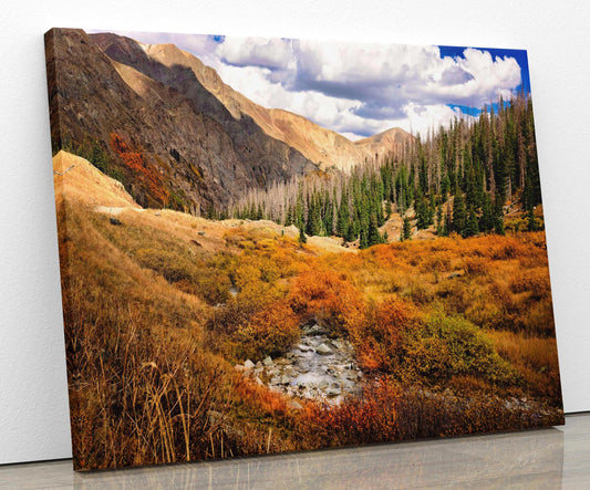 View from American Basin along the Alpine Loop mountain pass between Ouray and Silverton Colorado. Showing image on canvas.