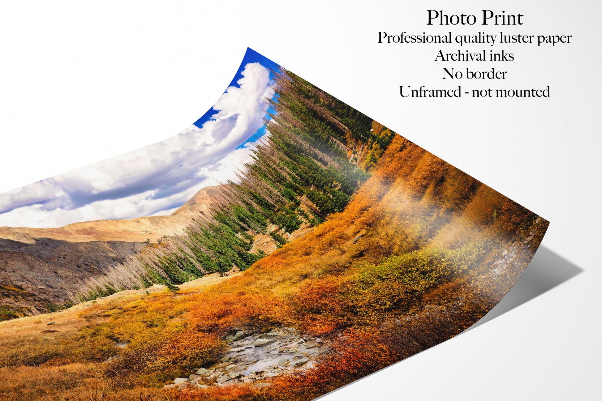 Colorado Alpine Loop Photo Print, Red Mountain Pass, Million Dollar Highway in Autumn, Fall Landscape, American Basin Photography Canvas