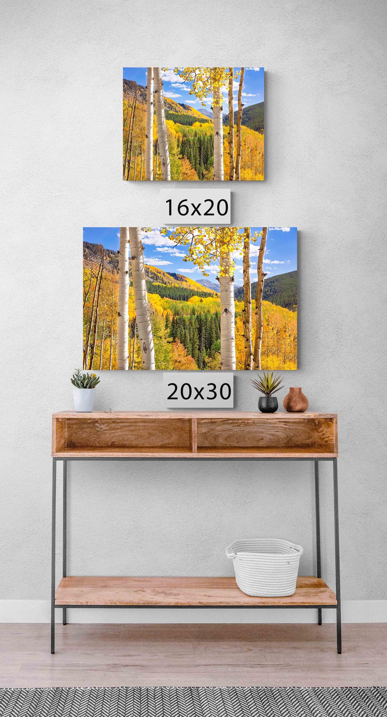 Autumn Aspen Trees Colorado Print, Ohio Creek Pass Golden Fall Colors Photo, Crested Butte Landscape, San Juan Rocky Mountains Photography