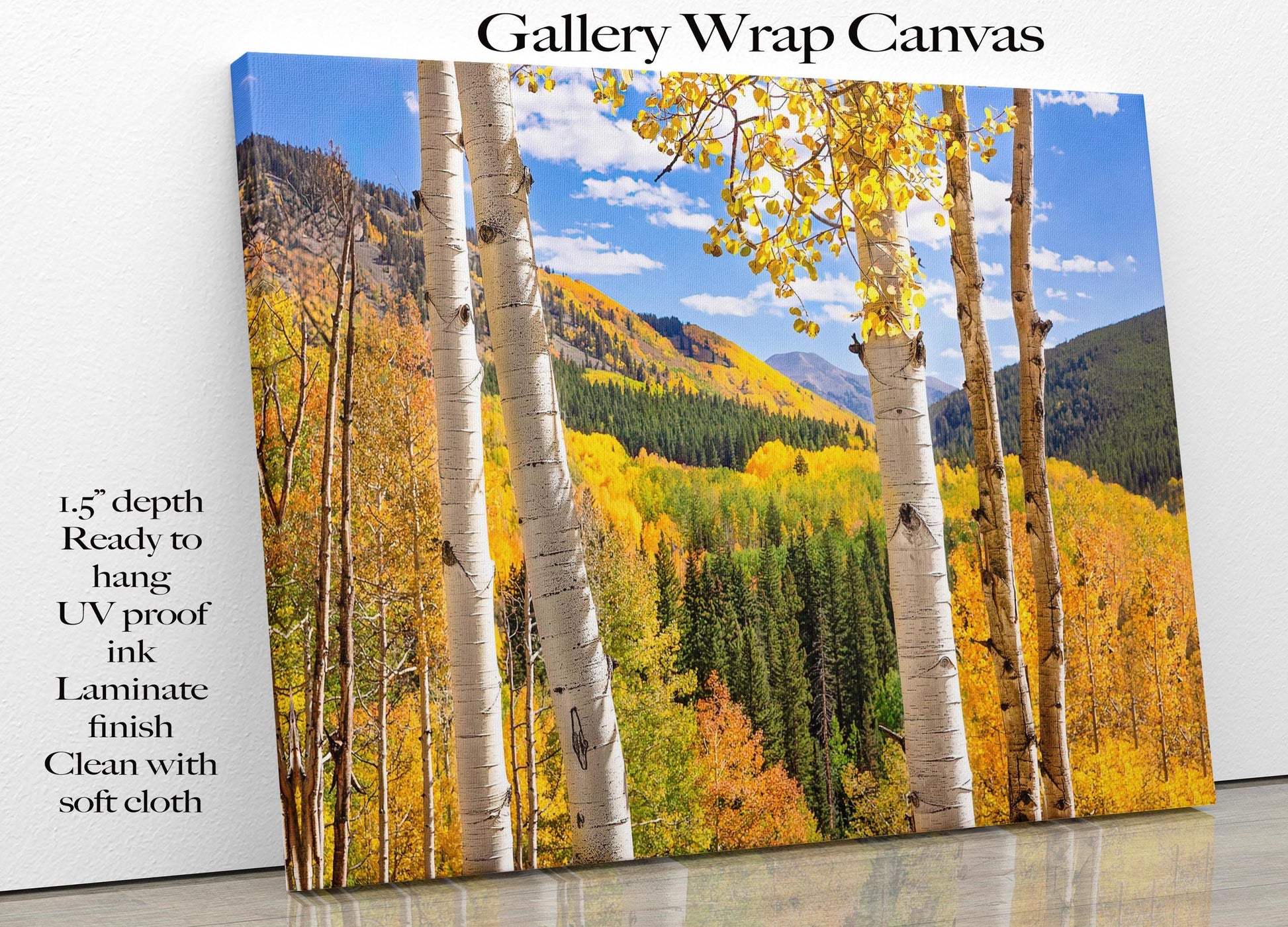 Autumn Aspen Trees Colorado Print, Ohio Creek Pass Golden Fall Colors Photo, Crested Butte Landscape, San Juan Rocky Mountains Photography