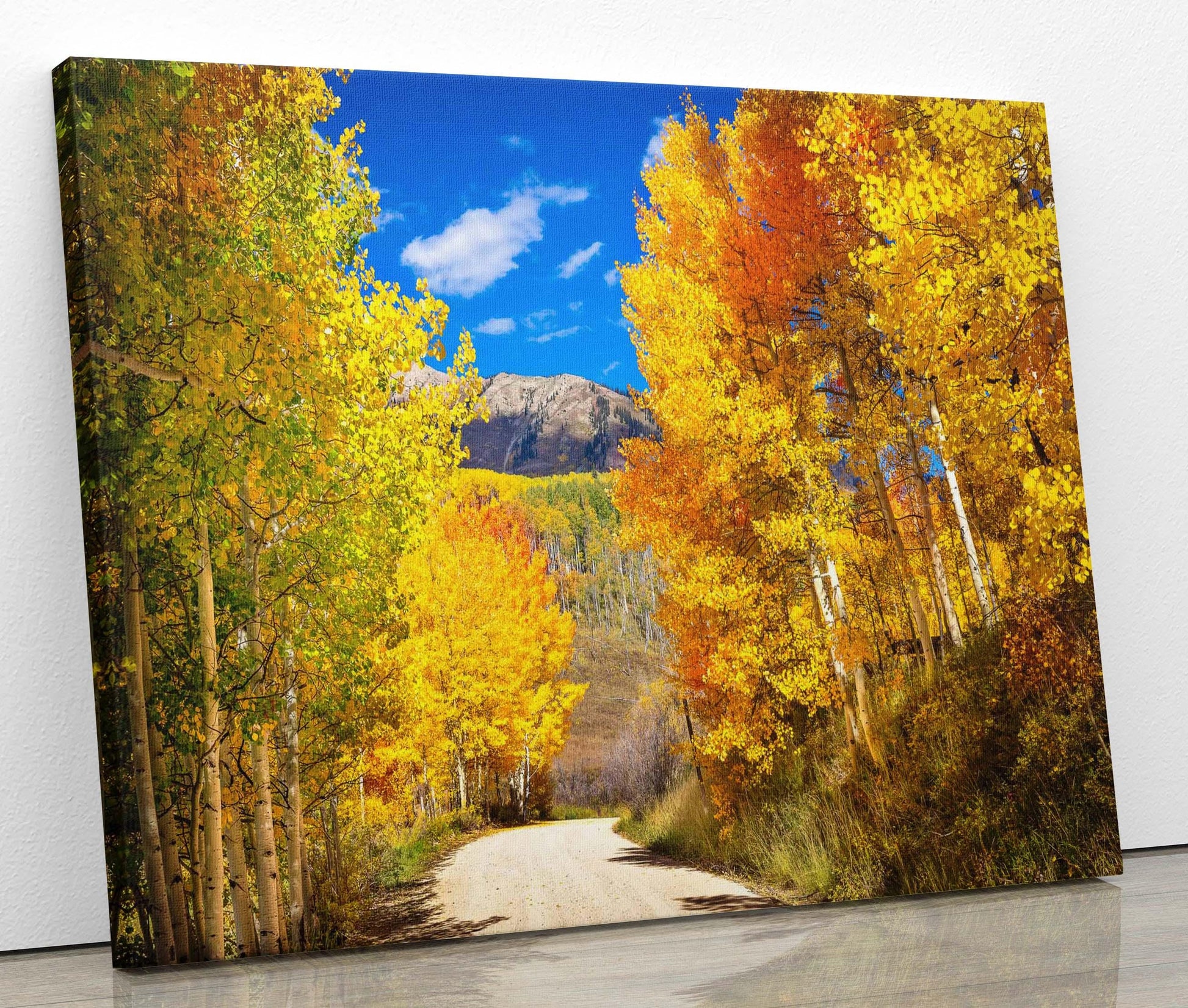 Colorado Autumn Aspen Trees Forest Print, Ohio Creek Pass Fall Colors Photo, Crested Butte Landscape, San Juan Rocky Mountains Photography