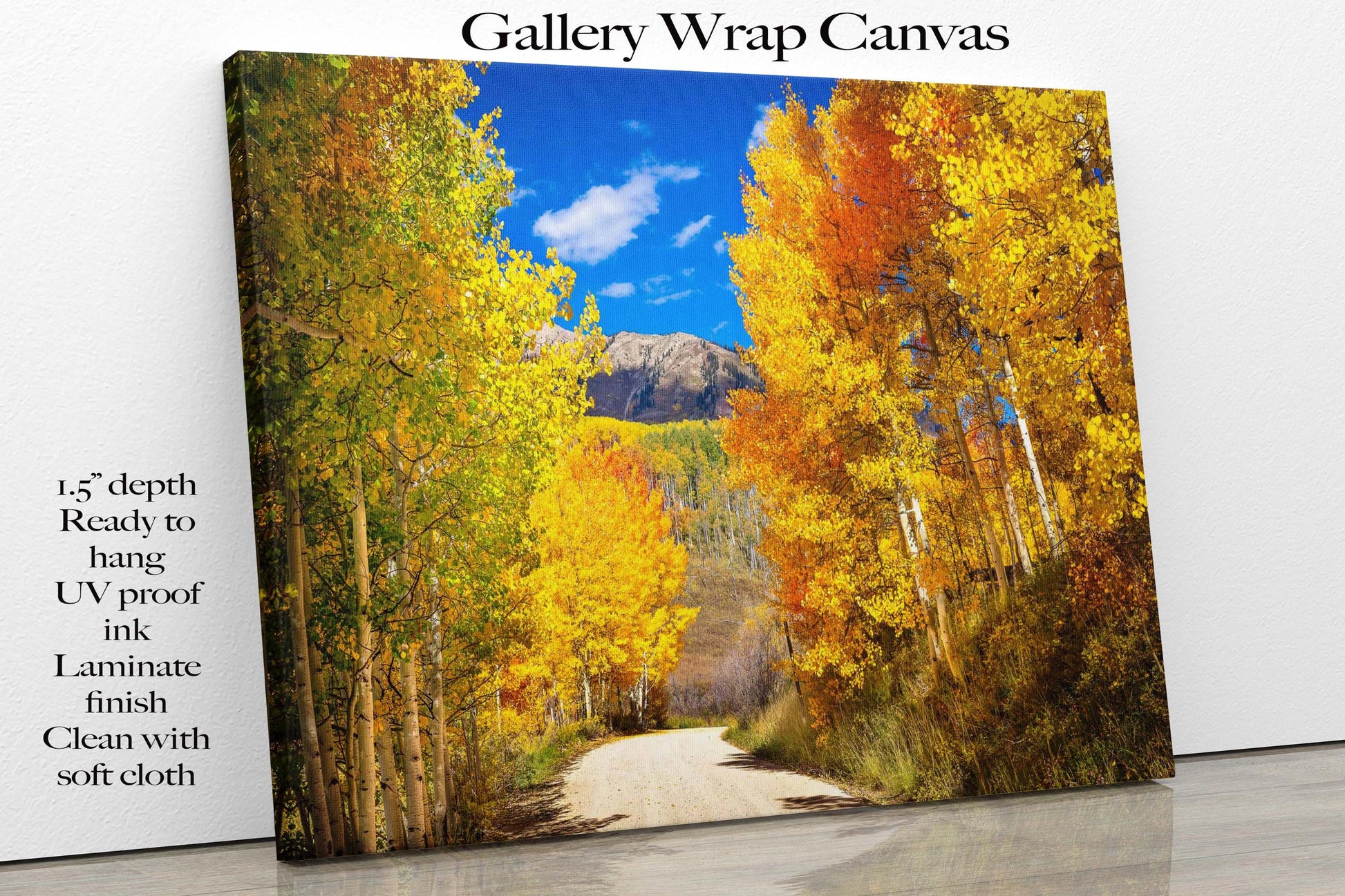 Colorado Autumn Aspen Trees Forest Print, Ohio Creek Pass Fall Colors Photo, Crested Butte Landscape, San Juan Rocky Mountains Photography