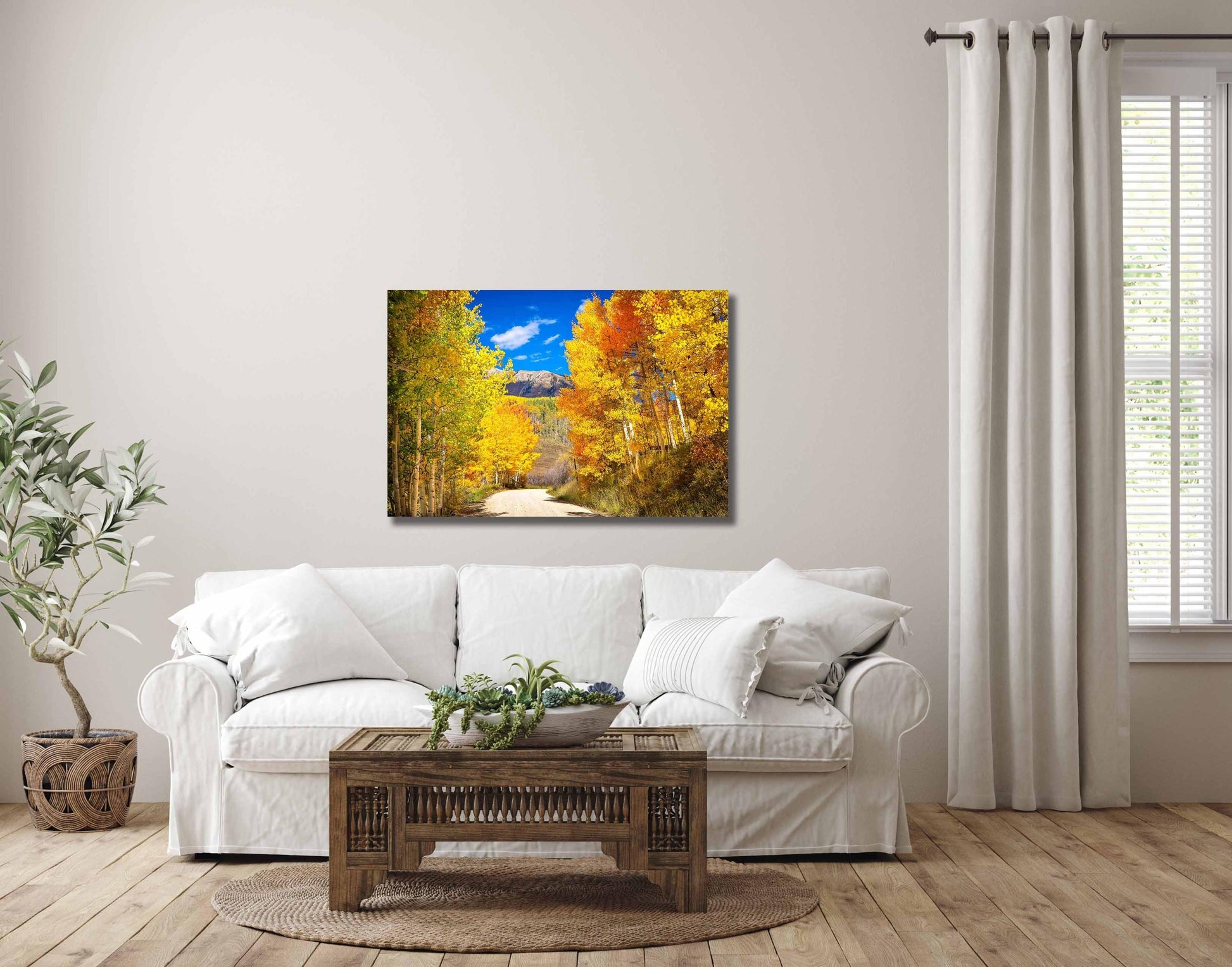 Colorado Autumn Aspen Trees Forest Print, Ohio Creek Pass Fall Colors Photo, Crested Butte Landscape, San Juan Rocky Mountains Photography