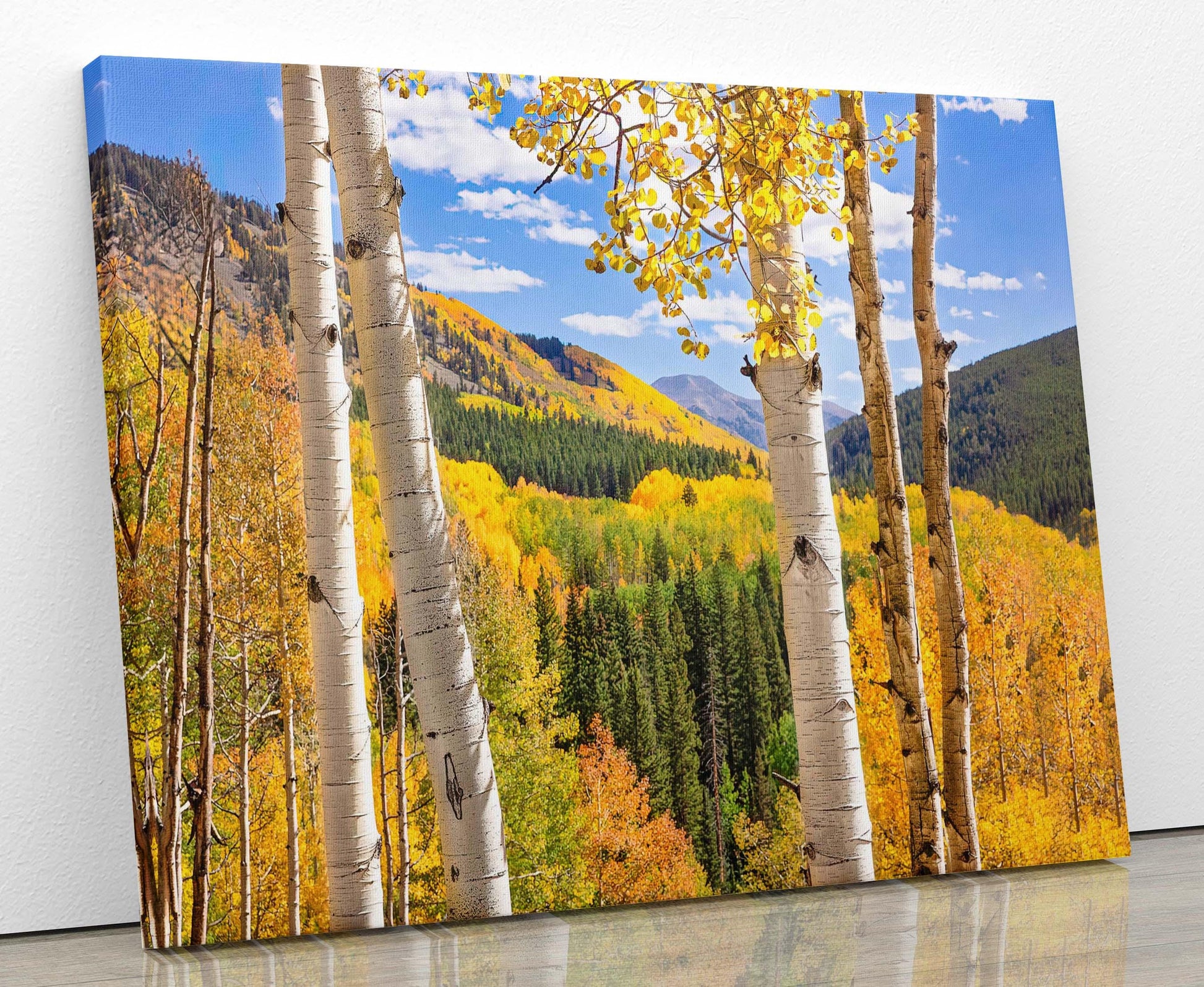 Autumn Aspen Trees Colorado Print, Ohio Creek Pass Golden Fall Colors Photo, Crested Butte Landscape, San Juan Rocky Mountains Photography