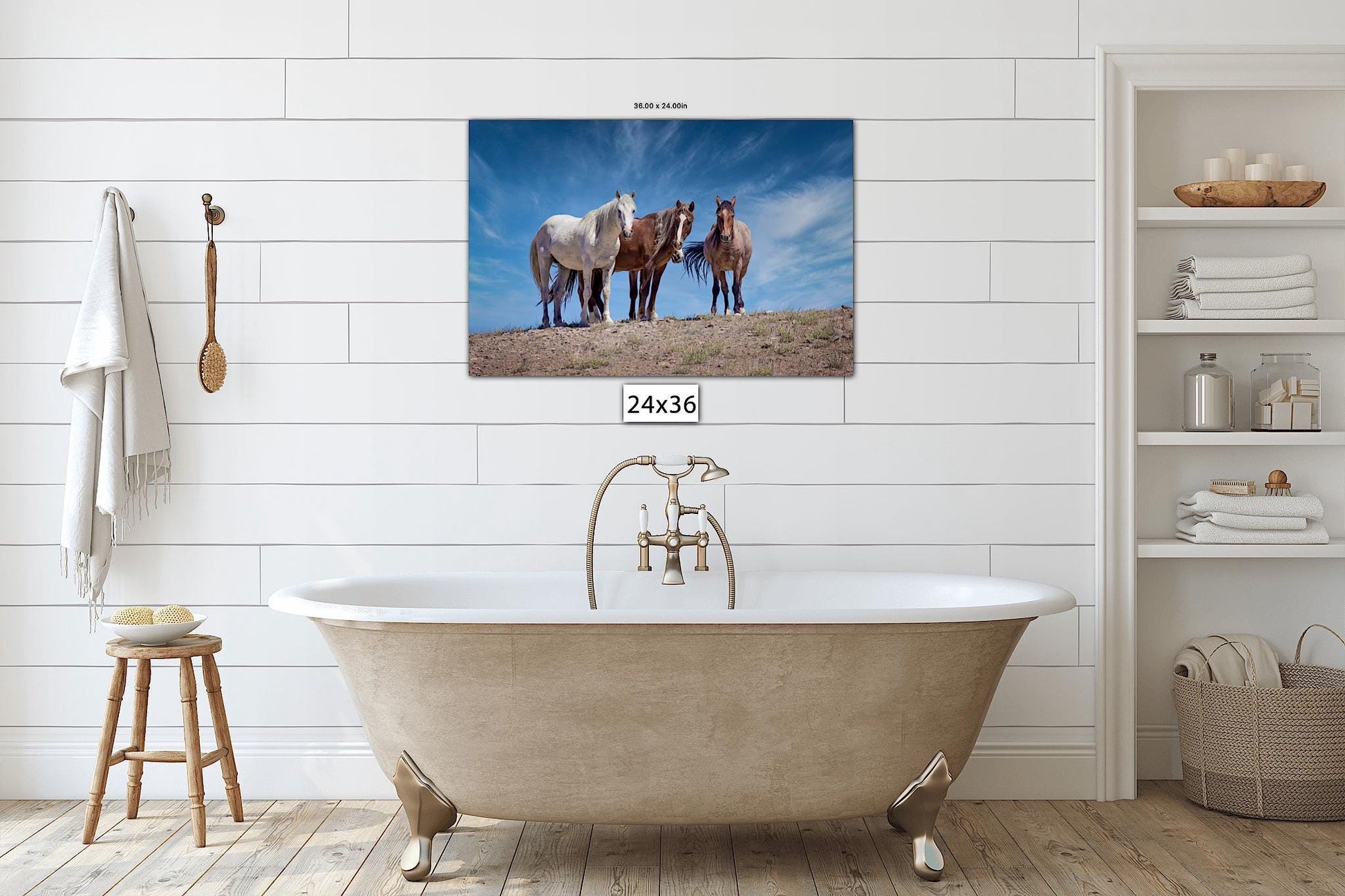 Wild Horses in Colorado Wall Art Print, Wild Mustangs Photo, Horse Lover Gift, Wildlife Canvas, Cowboy Old West Decor, Original Photography