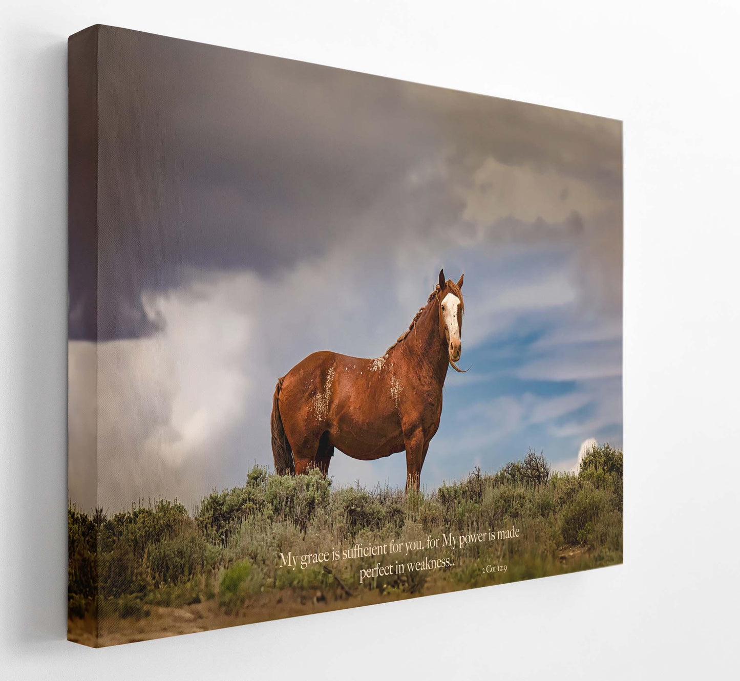 Wild Chestnut stallion in Colorado, with 2 Corinthians 12:9 Bible Verse on the print. Shown on canvas. Wild mustang original photography.