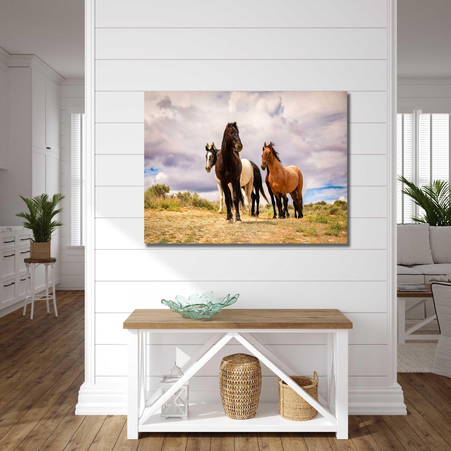 Wild horses standing on a ridge in Colorado&#39;s high desert plains of Sand Wash Basin. Mustang stallions - black, dun, pinto and gray. Photo shown printed on a canvas.