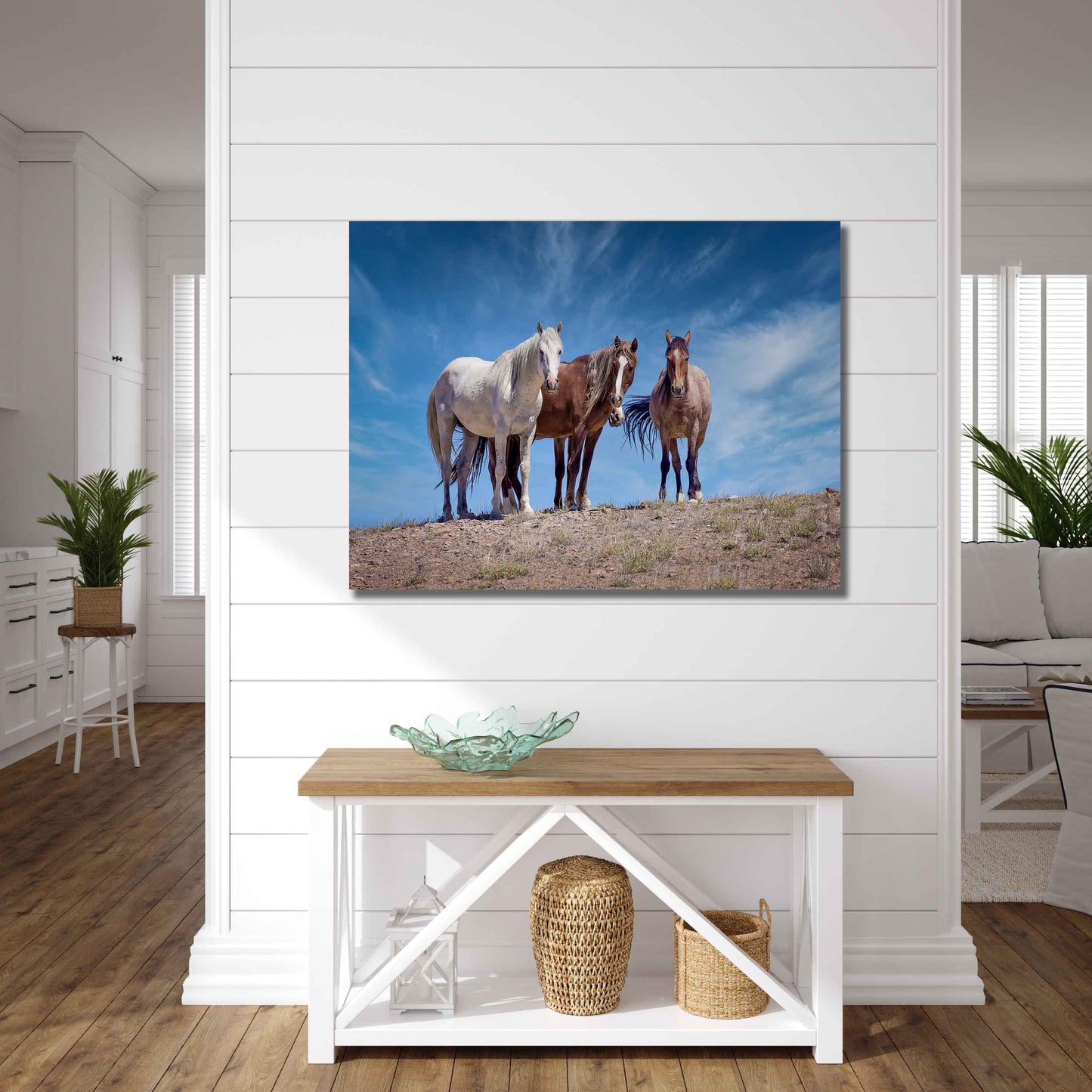 Wild Horses in Colorado Wall Art Print, Wild Mustangs Photo, Horse Lover Gift, Wildlife Canvas, Cowboy Old West Decor, Original Photography