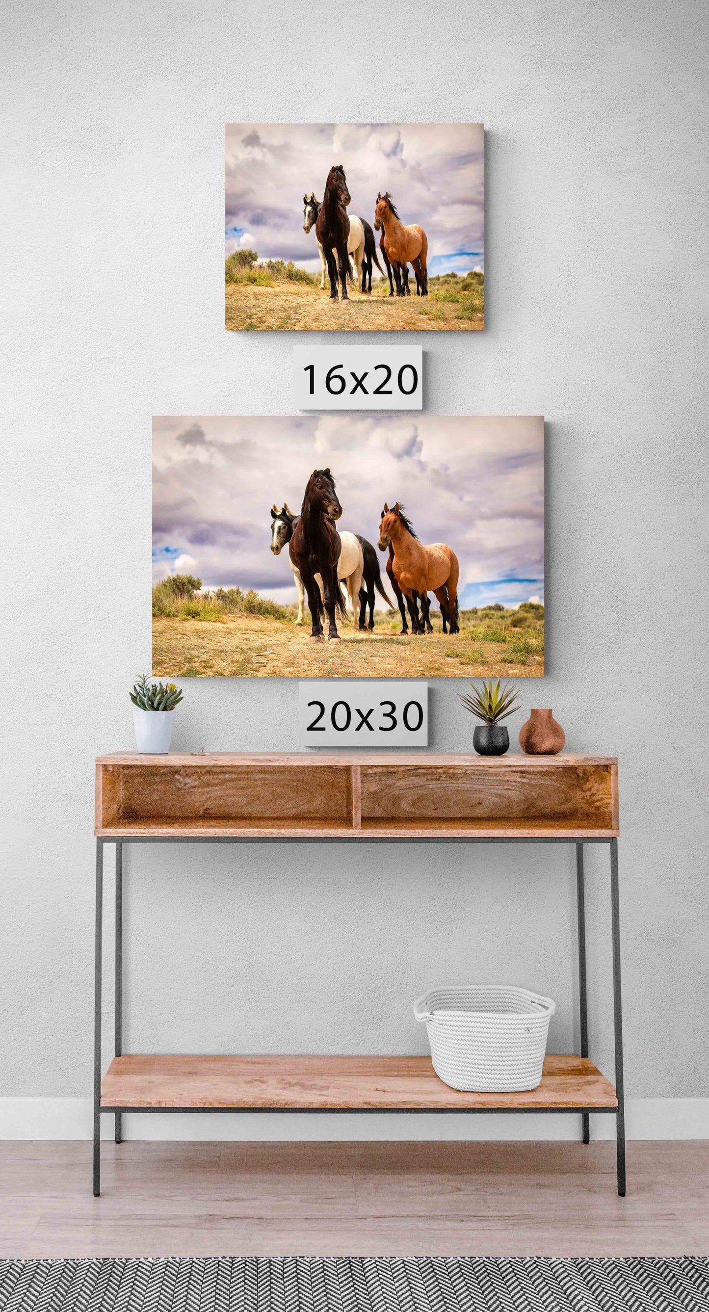 Wild horses standing on a ridge in Colorado&#39;s high desert plains of Sand Wash Basin. Mustang stallions - black, dun, pinto and gray. Photo shown printed on a canvas in two different sizes.