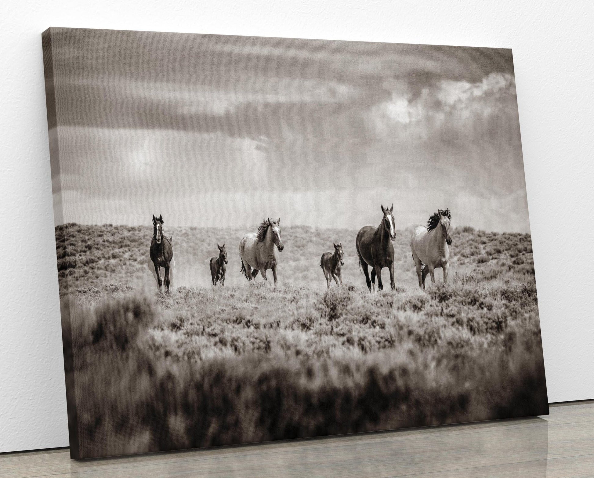 Sepia Colorado Wild Horses Running Wall Art Print, Mustang Photo Canvas, Horse Lover Gift, Cowboy Old West Decor for Home or Office - SandyDobbsFineArtPhotography
