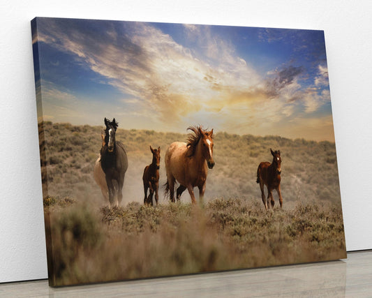 Wild Horses Running Free Photo Canvas Print, Colorado Cowboy Old West Home Decor, Mustang Mares and Foals, Mountain Desert Scenery - SandyDobbsFineArtPhotography
