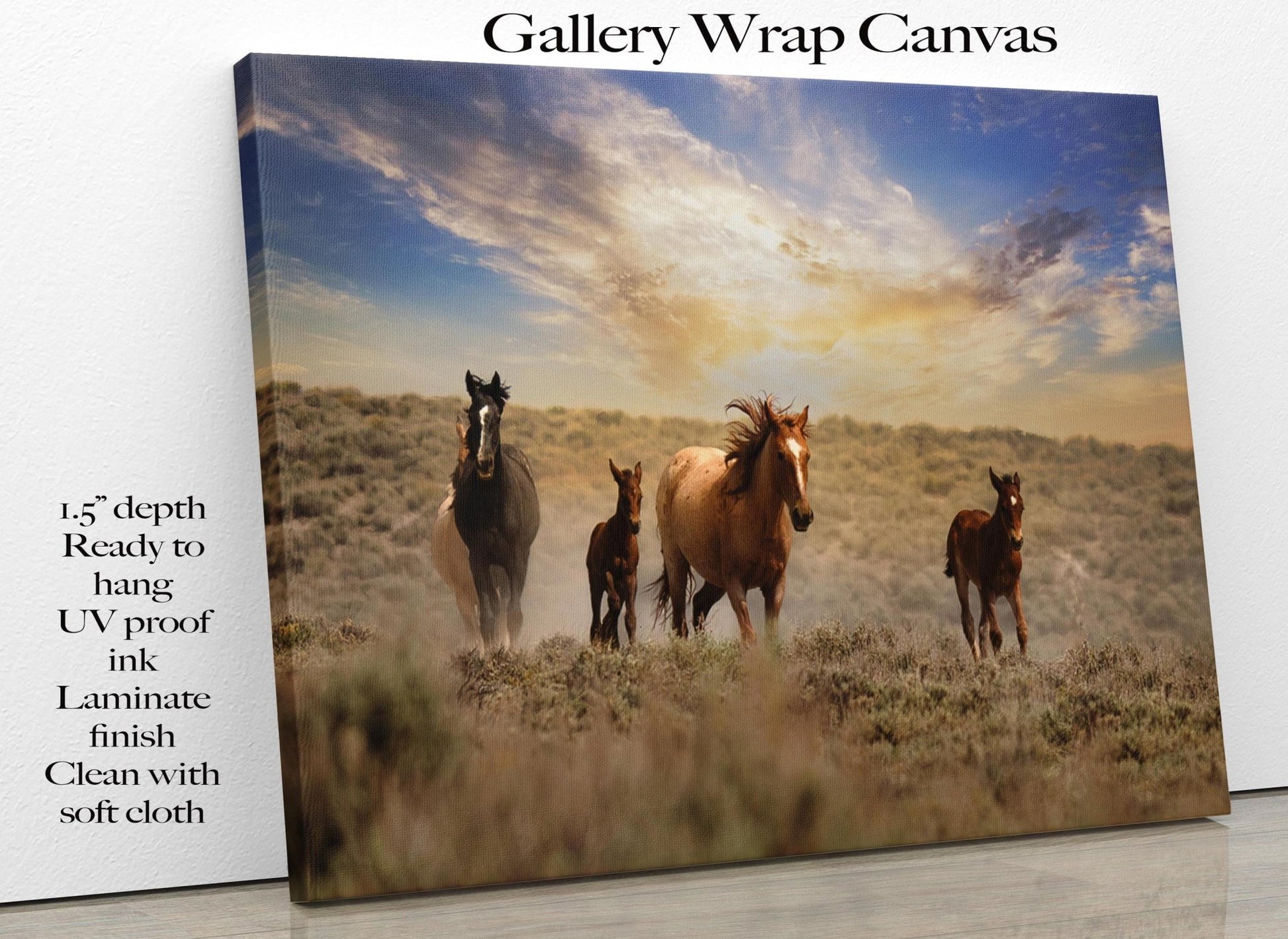 Wild Horses Running Free Photo Canvas Print, Colorado Cowboy Old West Home Decor, Mustang Mares and Foals, Mountain Desert Scenery - SandyDobbsFineArtPhotography