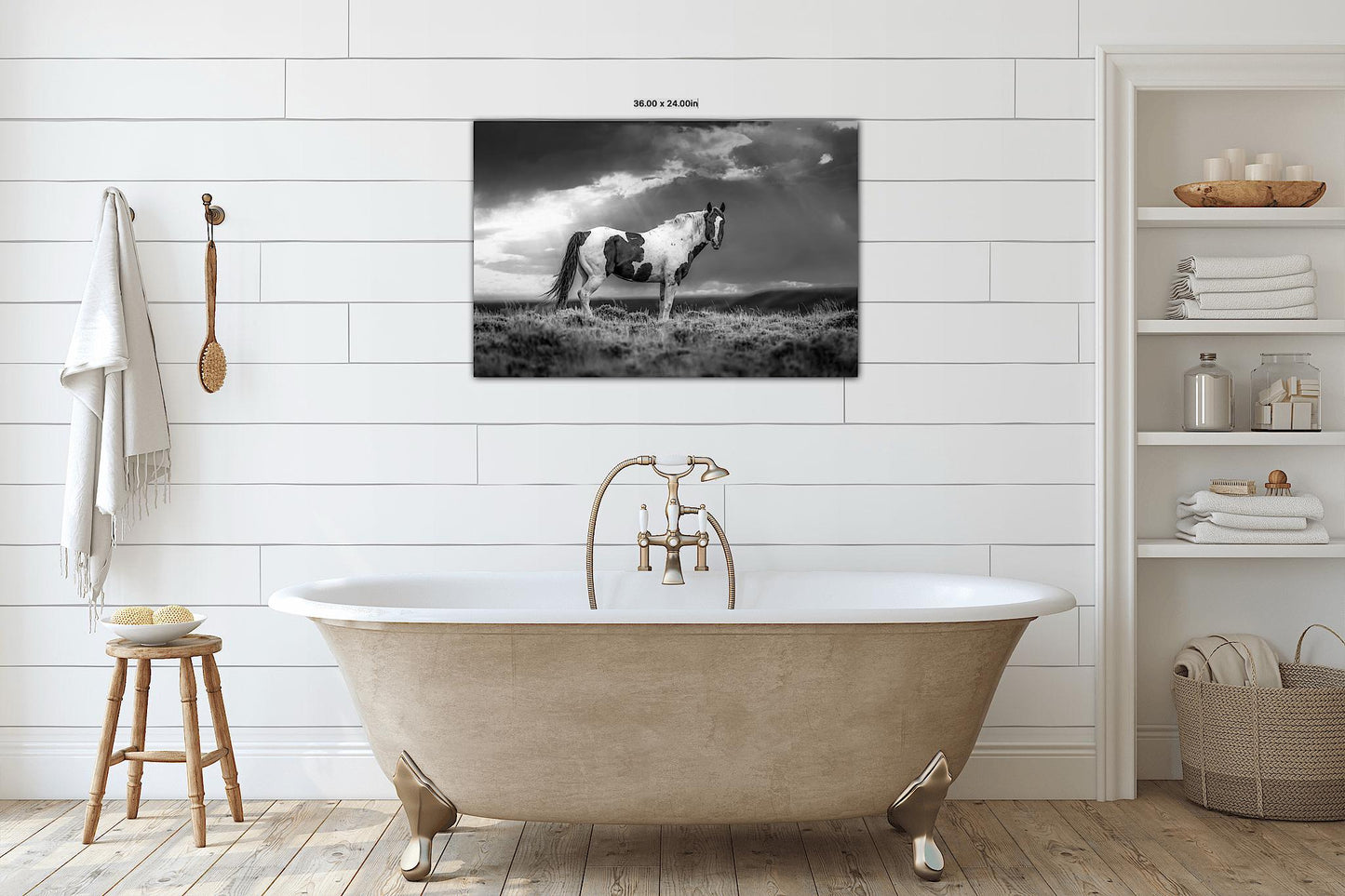 Wild Pinto Stallion Black and White Horse Photo, Wyoming Mustang Wall Art Print, Rocky Mountain Wildlife Canvas, Cowboy Old West Decor - SandyDobbsFineArtPhotography