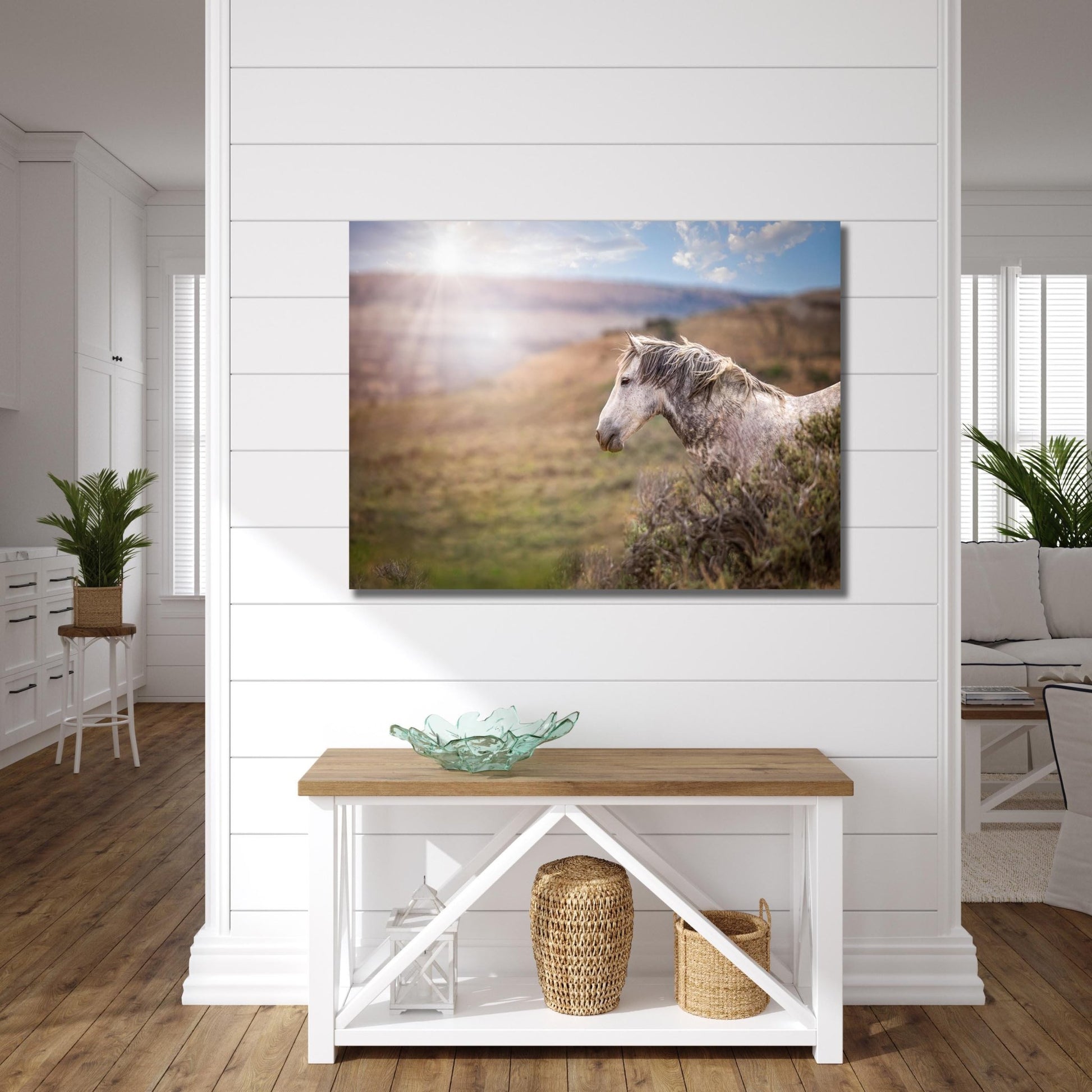 Wild Horse Photo Canvas Print, Gray Mustang Stallion Picture, Colorado Cowboy Old West Home Decor, Mountain Desert Scenery - SandyDobbsFineArtPhotography