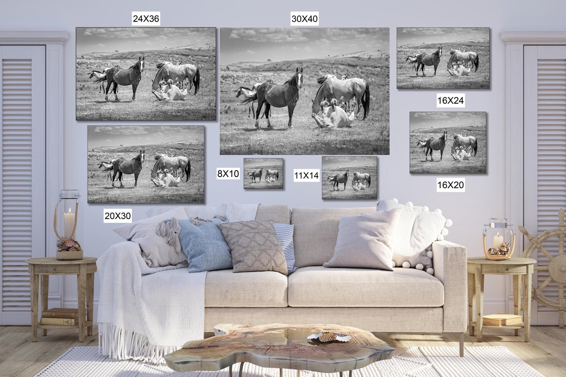 Wyoming Wild Horses Black and White Wall Art Print, Mustang Stallions Playing Photo Canvas, Cowboy Old West Decor for Home or Office - SandyDobbsFineArtPhotography