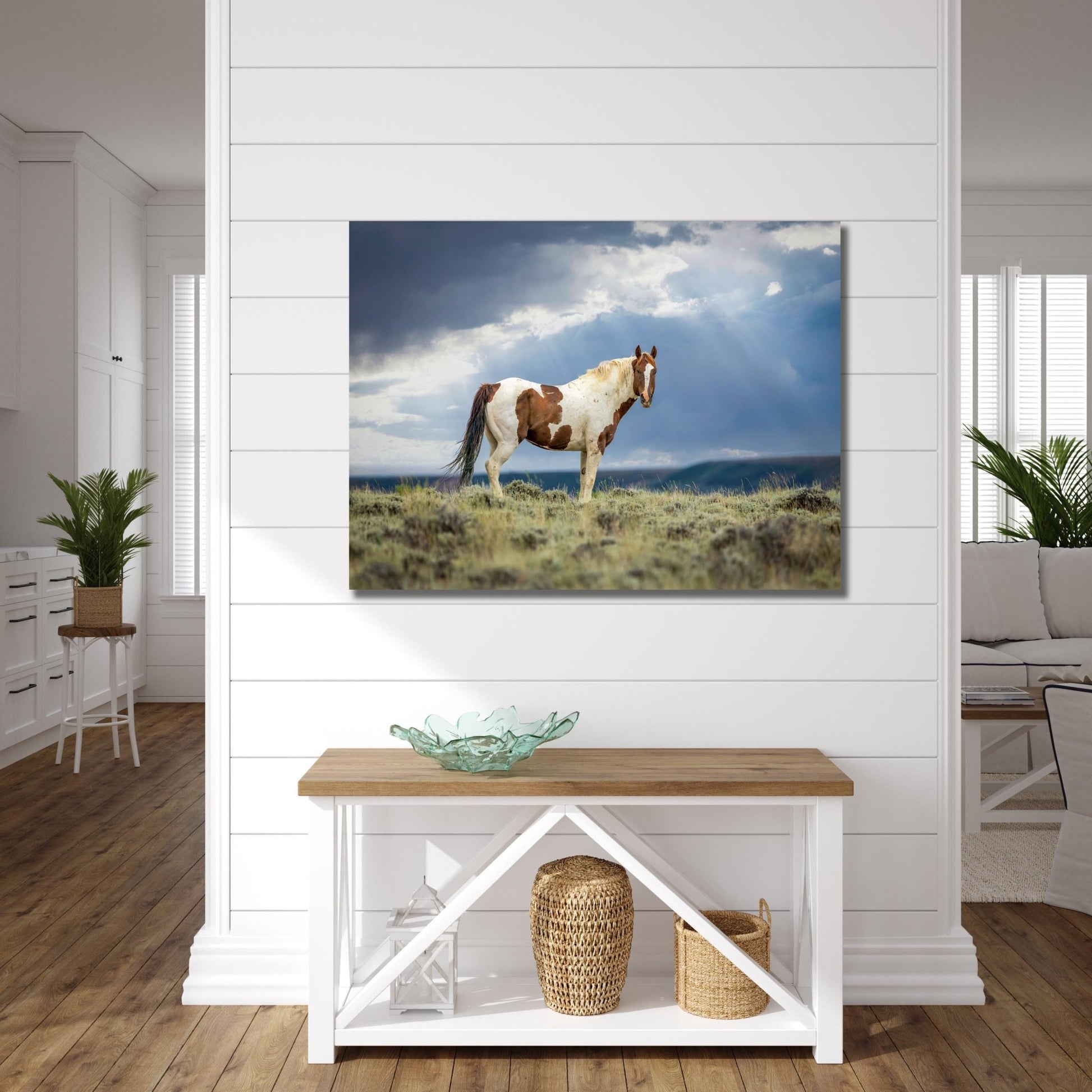 Wild Pinto Stallion Photo, Wyoming Mustang Horses Wall Art Print, Rocky Mountain Large Wildlife Canvas, Cowboy Old West Decor for Home - SandyDobbsFineArtPhotography