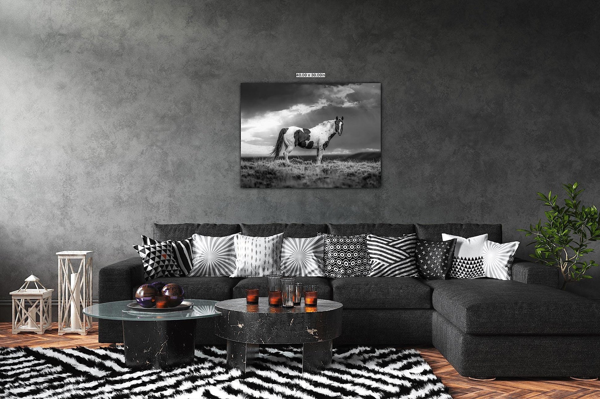 Wild Pinto Stallion Black and White Horse Photo, Wyoming Mustang Wall Art Print, Rocky Mountain Wildlife Canvas, Cowboy Old West Decor - SandyDobbsFineArtPhotography