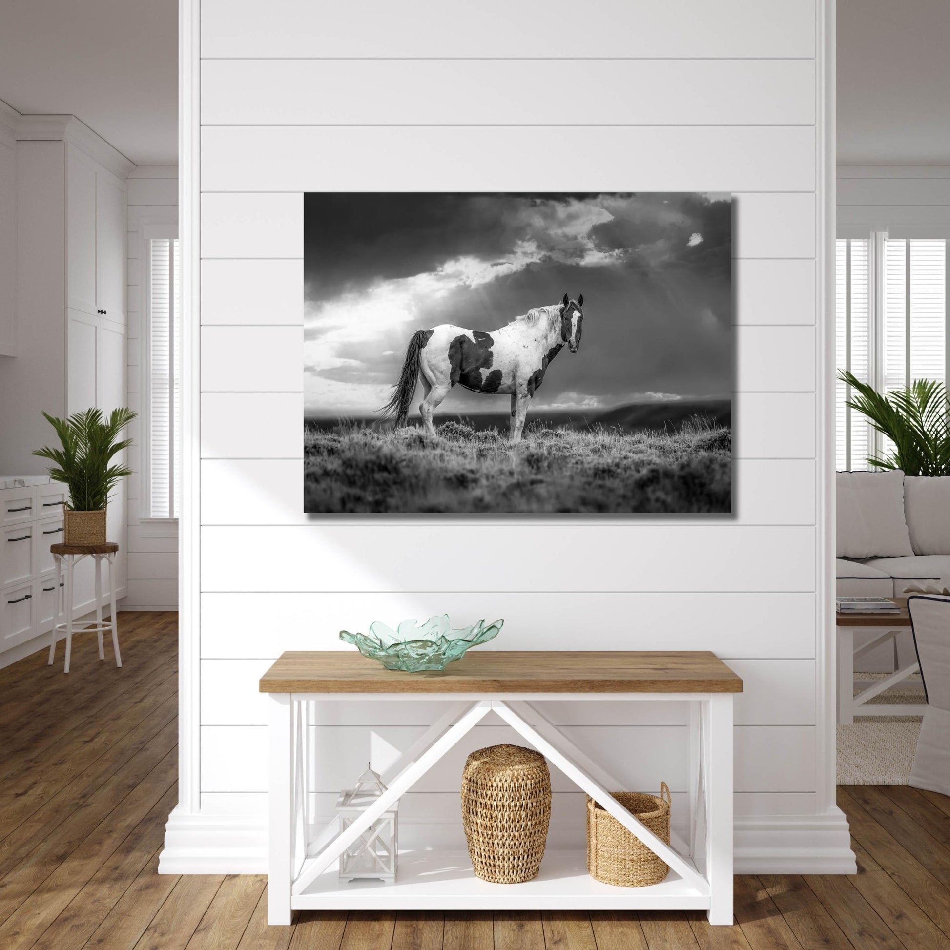 Wild Pinto Stallion Black and White Horse Photo, Wyoming Mustang Wall Art Print, Rocky Mountain Wildlife Canvas, Cowboy Old West Decor - SandyDobbsFineArtPhotography