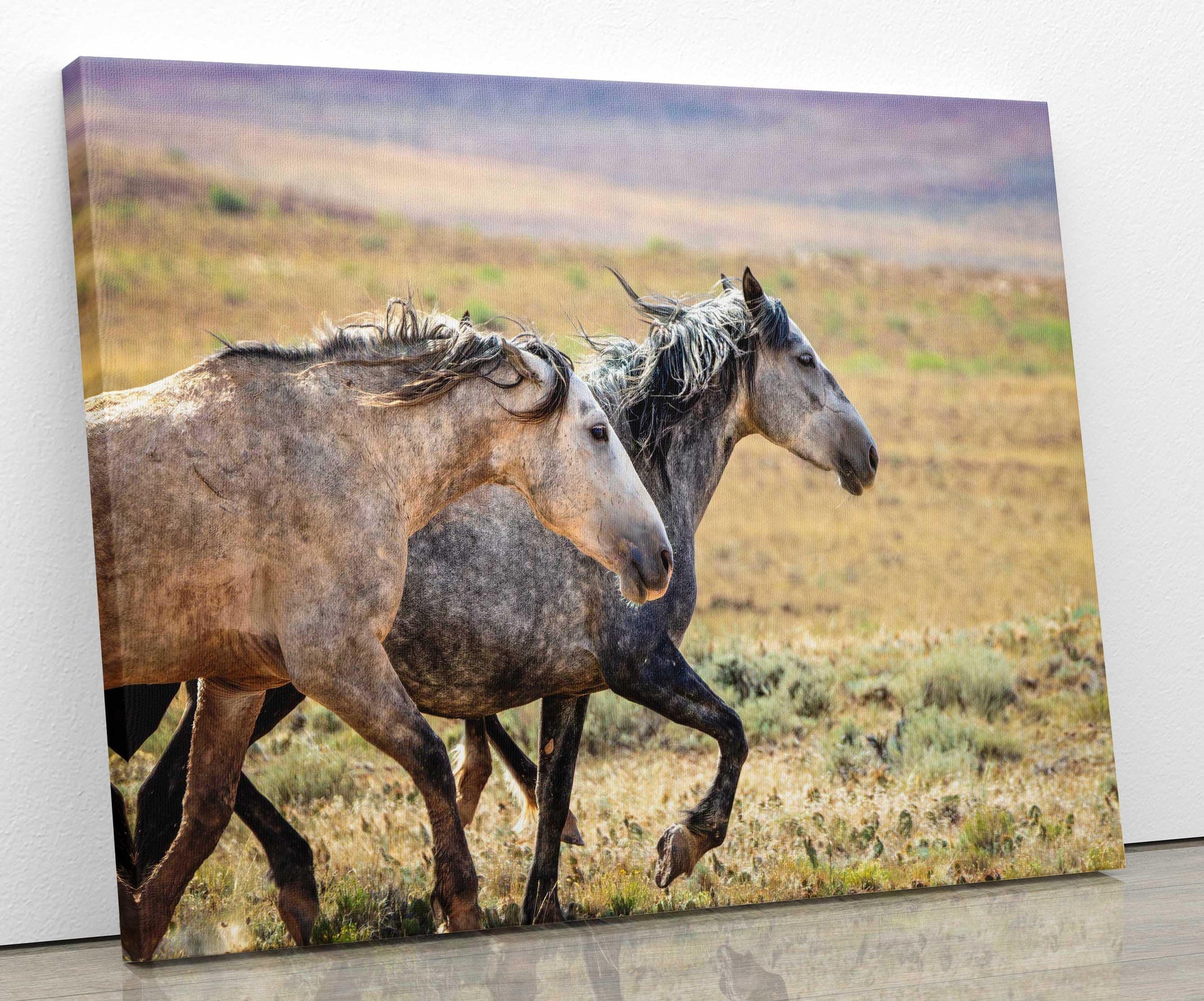 Wild Horses Running Photo, Adobe Town Wyoming Mustang Stallions, Cowboy Old West Decor Wall Art Print, Rocky Mountain Wildlife Canvas - SandyDobbsFineArtPhotography