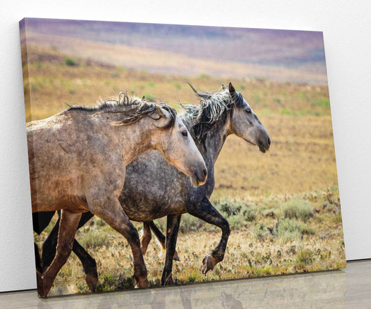 Wild Horses Running Photo, Adobe Town Wyoming Mustang Stallions, Cowboy Old West Decor Wall Art Print, Rocky Mountain Wildlife Canvas - SandyDobbsFineArtPhotography