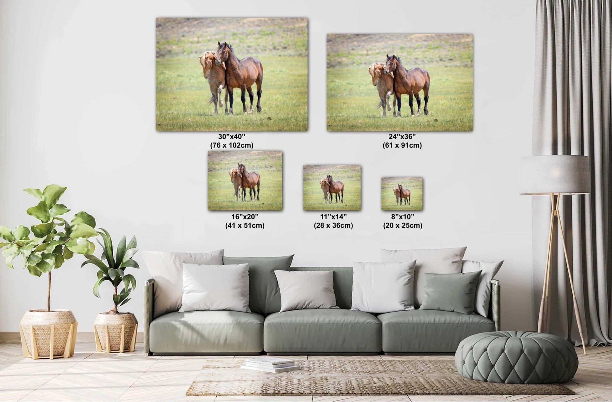 Wild Stallions Photo Canvas, Wyoming Mustang Horses Wall Art Print, Rocky Mountain Large Wildlife Canvas, Cowboy Old West Decor for Home - SandyDobbsFineArtPhotography