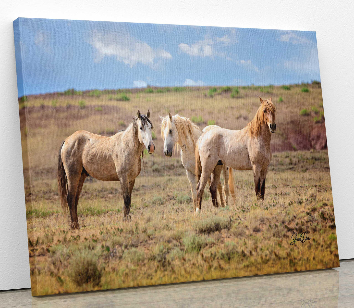 Wild Horses Print, Red Roan Mustang Stallion Photo, Handmade Wall Art, Adobe Town Wyoming Wildlife Canvas, Cowboy Old West Rustic Decor - SandyDobbsFineArtPhotography