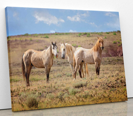 Wild Horses Print, Red Roan Mustang Stallion Photo, Handmade Wall Art, Adobe Town Wyoming Wildlife Canvas, Cowboy Old West Rustic Decor - SandyDobbsFineArtPhotography