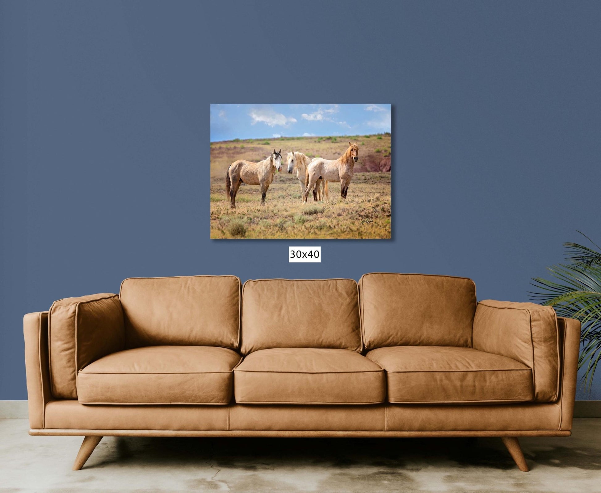 Wild Horses Print, Red Roan Mustang Stallion Photo, Handmade Wall Art, Adobe Town Wyoming Wildlife Canvas, Cowboy Old West Rustic Decor - SandyDobbsFineArtPhotography