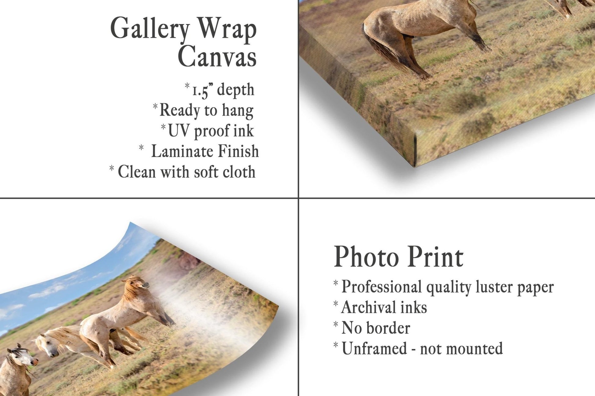 Wild Horses Print, Red Roan Mustang Stallion Photo, Handmade Wall Art, Adobe Town Wyoming Wildlife Canvas, Cowboy Old West Rustic Decor - SandyDobbsFineArtPhotography