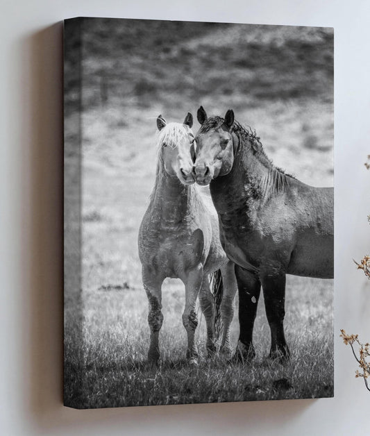 Wild Horses in Wyoming Black and White Vertical Print, Rustic Cowboy Decor, Stallions Photo Canvas, Salt Wells Creek Mountain Landscape - SandyDobbsFineArtPhotography