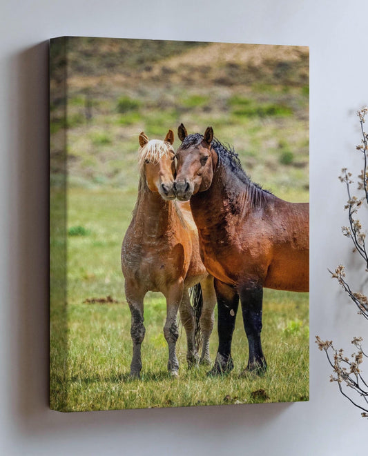 Wild Horses in Wyoming Photo Vertical Print, Rustic Cowboy Decor, Mustang Stallions Picture on Canvas, Salt Wells Creek Mountain Landscape - SandyDobbsFineArtPhotography