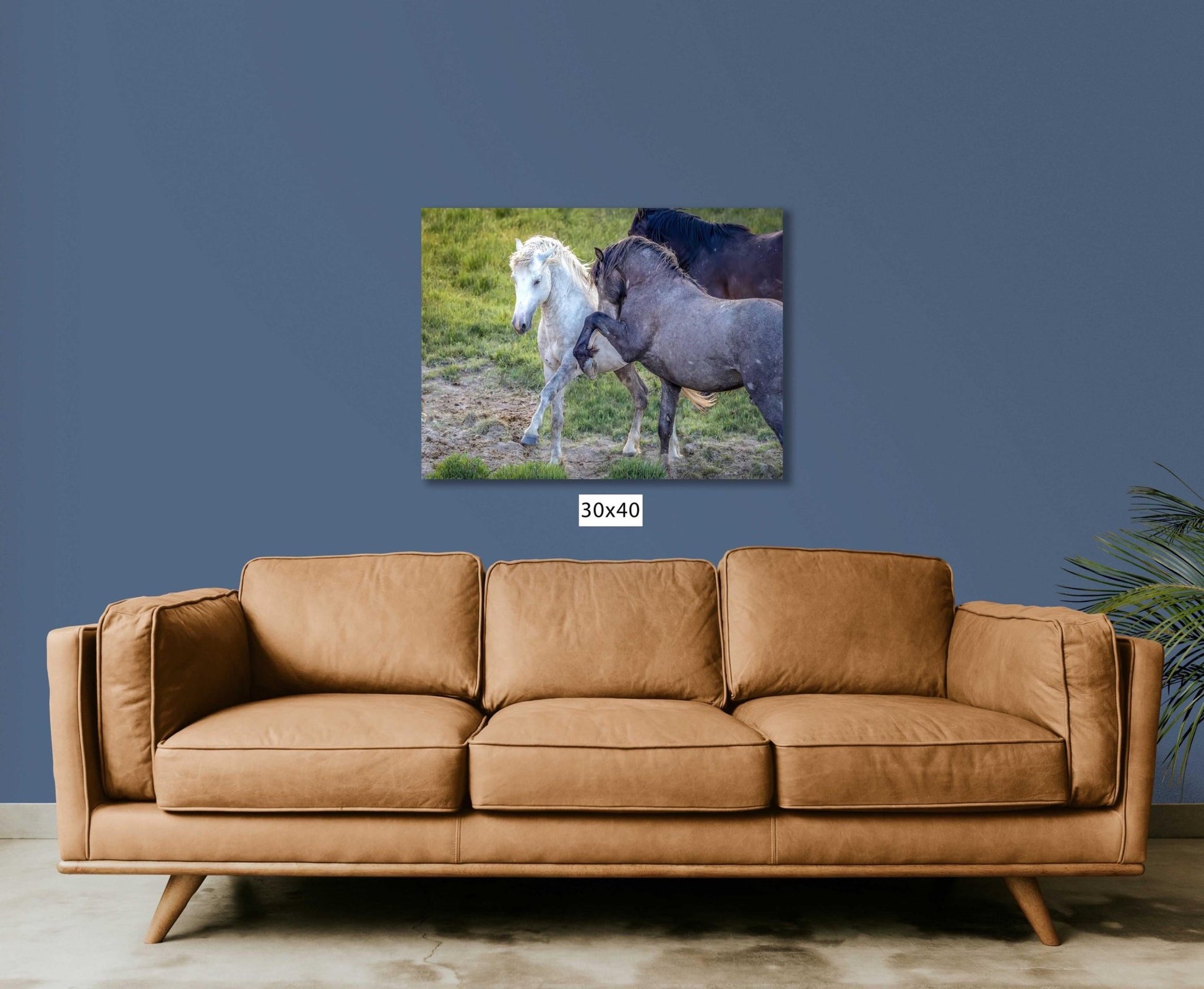 Wild Horses Dancing Photo, Horse Lover Gift, Wyoming Mustang Stallions Wall Art Print, Rocky Mountain Wildlife Canvas, Cowboy Old West Decor - SandyDobbsFineArtPhotography