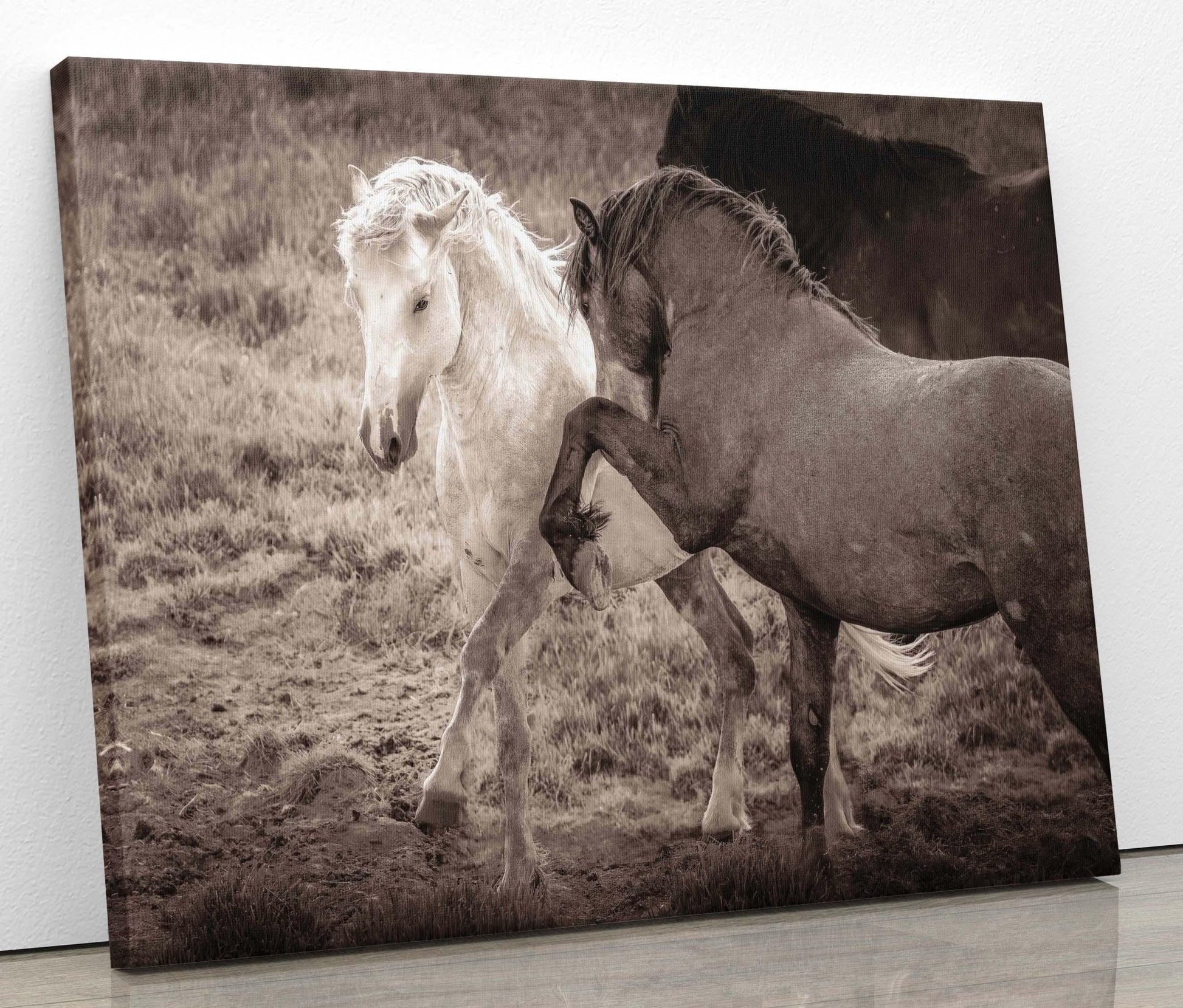 Wild Horses Dancing Sepia Photo, Wyoming Mustang Stallions Wall Art Print, Rocky Mountain Wildlife Canvas, Cowboy Old West Decor - SandyDobbsFineArtPhotography