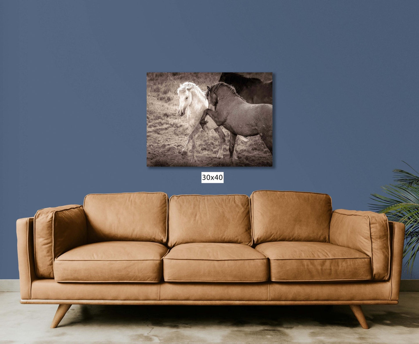 Wild Horses Dancing Sepia Photo, Wyoming Mustang Stallions Wall Art Print, Rocky Mountain Wildlife Canvas, Cowboy Old West Decor - SandyDobbsFineArtPhotography