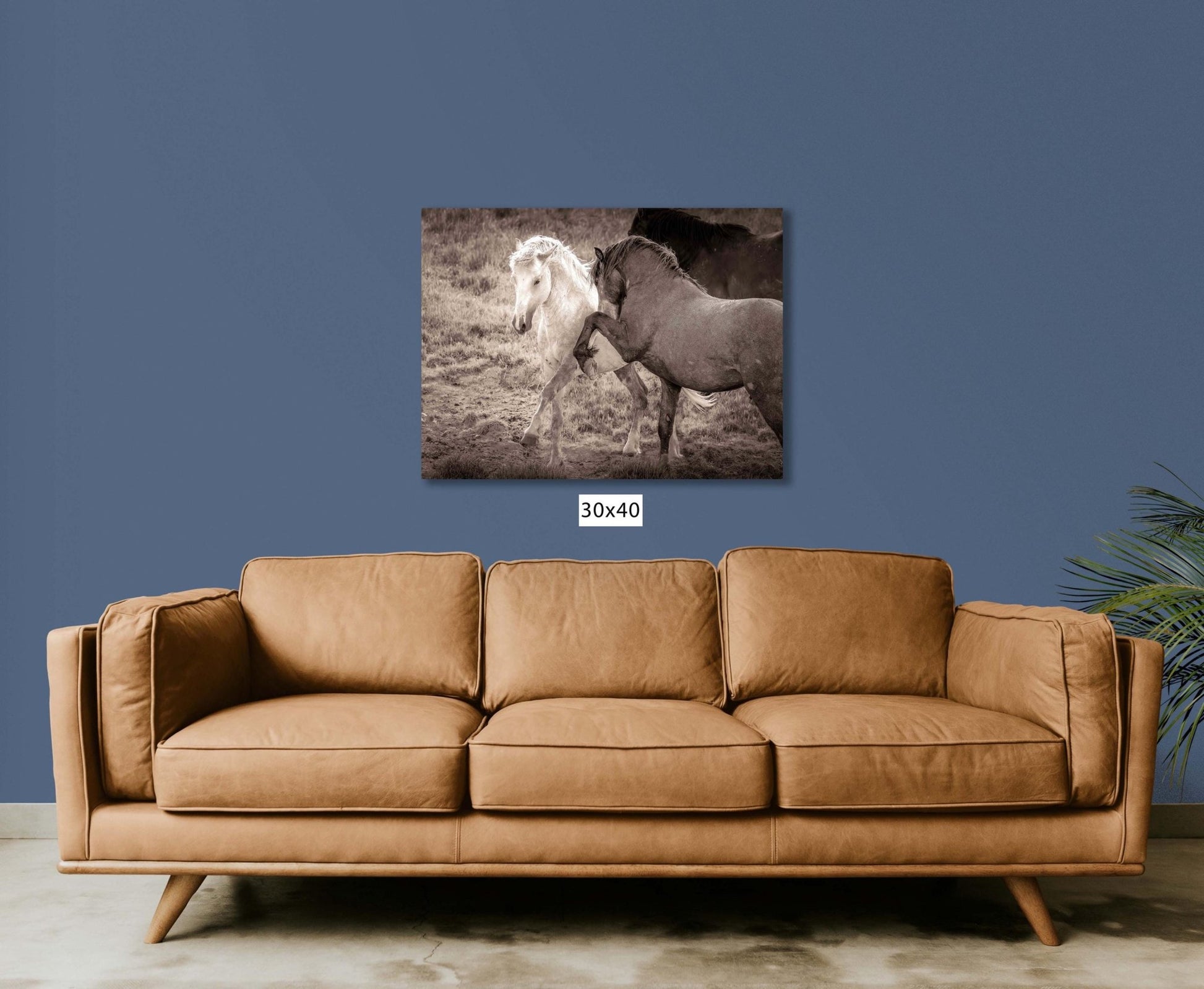 Wild Horses Dancing Sepia Photo, Wyoming Mustang Stallions Wall Art Print, Rocky Mountain Wildlife Canvas, Cowboy Old West Decor - SandyDobbsFineArtPhotography