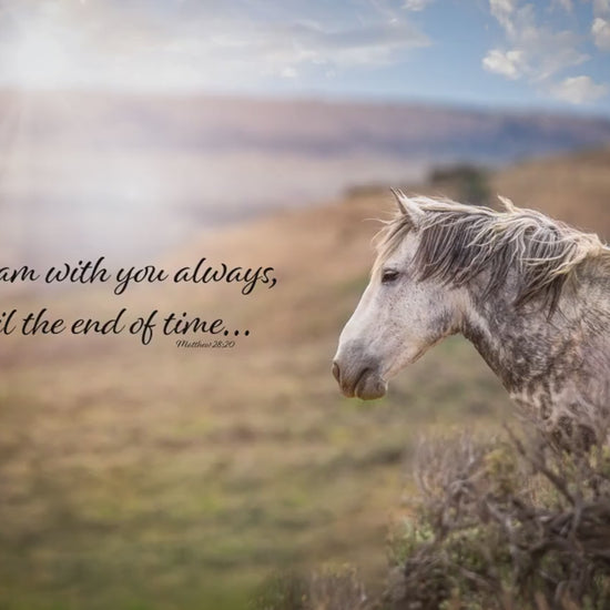 Matthew 28:20 Wild Horse Bible Verse, I am With You Always, Mustang Scripture Canvas, Christian Inspirational Wall Art, Cowboy Old West