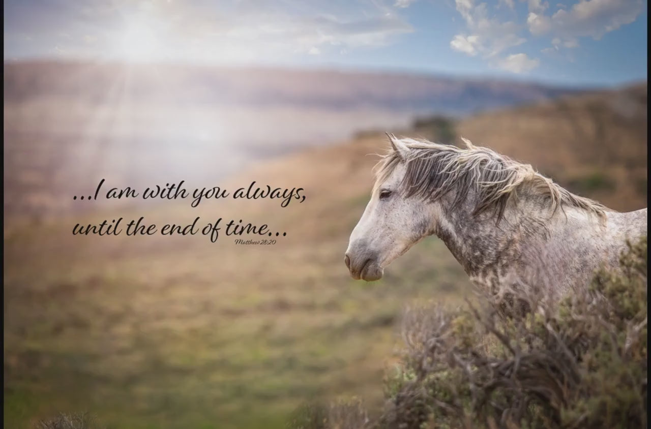 Matthew 28:20 Wild Horse Bible Verse, I am With You Always, Mustang Scripture Canvas, Christian Inspirational Wall Art, Cowboy Old West