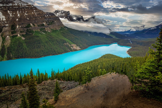 Peyto Lake in the Canadian Rocky Mountains. The lake is a turquoise blue and is the shape of the profile of a wolf. Available in canvas or paper print for home or office decor.