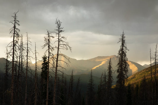 Rocky Mountain Haze on Monarch Pass Colorado Print, Canvas Wall Art Prints, Dramatic Landscape, Wall Decor for Home or Office