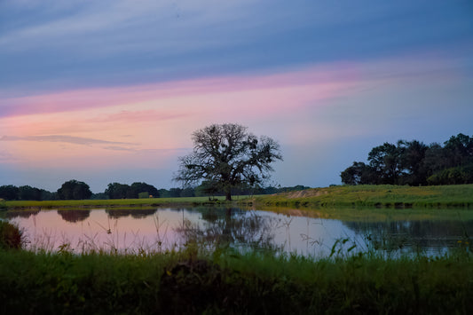 Texas Sunrise Landscape Photo Print, Beautiful Rainbow Sunrise, Large Canvas Wall Art Prints, Decor for Home, Living Room, Bedroom, Office