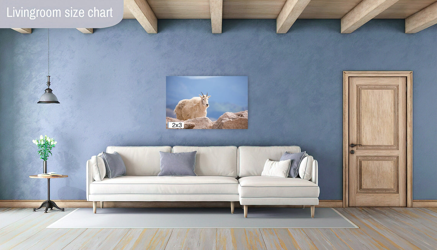 Mountain Goat on Mount Evans Colorado Print, Canvas Wall Art Prints, Colorado Wildlife Photography, Wall Decor for Home or Office