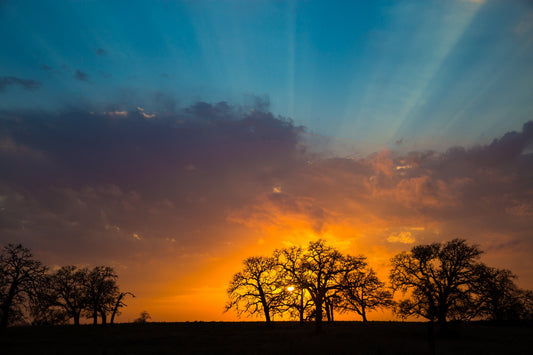 Sunset in Texas along Old San Antonio Road in brilliant colors of orange, gold blue and turquoise. Trees silhouette against the sky. Texas landscape photography available in canvas or print for home or office decor.